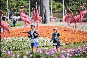 BIB: 
                            <button type="button" onclick="openModal(27793642)" class="btn btn-primary btn-sm float-right btn-popup" data-toggle="modal" data-target=".modal-high-quality">
                        <i class="fas fa-shopping-cart"></i> Add to Cart
                    </button>
                                            <button type="button" onclick="isThisMe(27793642, true)" class="btn btn-success btn-sm float-right btn-popup btn-isme hidden" data-toggle="tooltip" data-placement="bottom" title="นี่คือรูปของคุณใช่ไหม คลิกที่นี่เพื่อเอาเข้าอัลบั้ม">
                        <i class="fas fa-plus"></i> Add to album
                    </button>
                    <button type="button" onclick="isThisMe(27793642, false)" class="btn btn-warning btn-sm float-right btn-popup btn-isnotme hidden">
                        <i class="fas fa-ban"></i> Remove from album
                    </button>